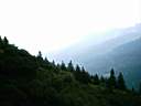 0817_0008.jpg