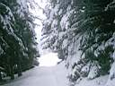 skitour_kinigonger_0004.jpg